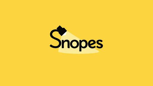 Famoso site de verificação de fatos é acusado de plágio e pede desculpas