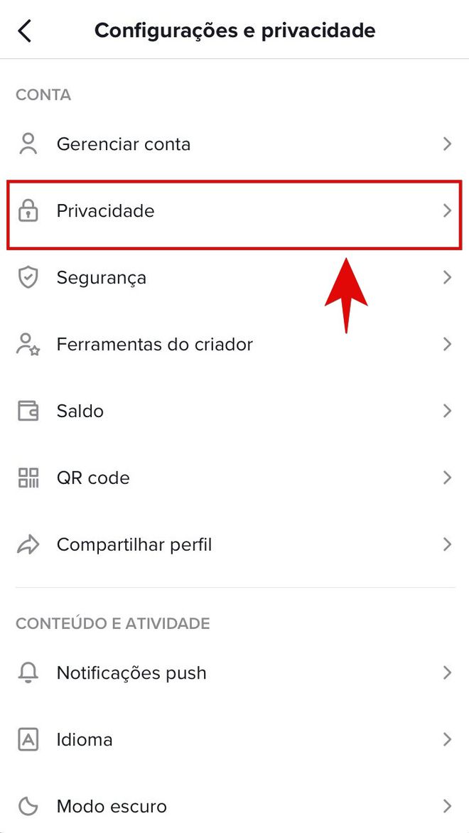 Entre na tela de "Privacidade" do TikTok (Imagem: Kris Gaiato/Captura de tela)