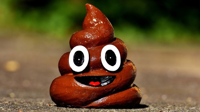 Scientists find "millennial poop" and discover what Europeans ate 2,000 years ago