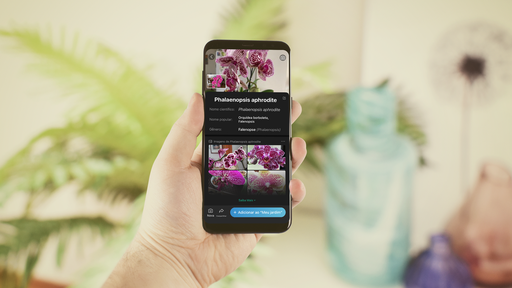 Dia do agricultor: 5 apps para cuidar de hortas e plantas em casa