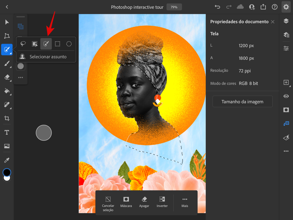 Faça seleções com "Laço Magnético" no Photoshop para iPad - Captura de tela: Thiago Furquim (Canaltech)