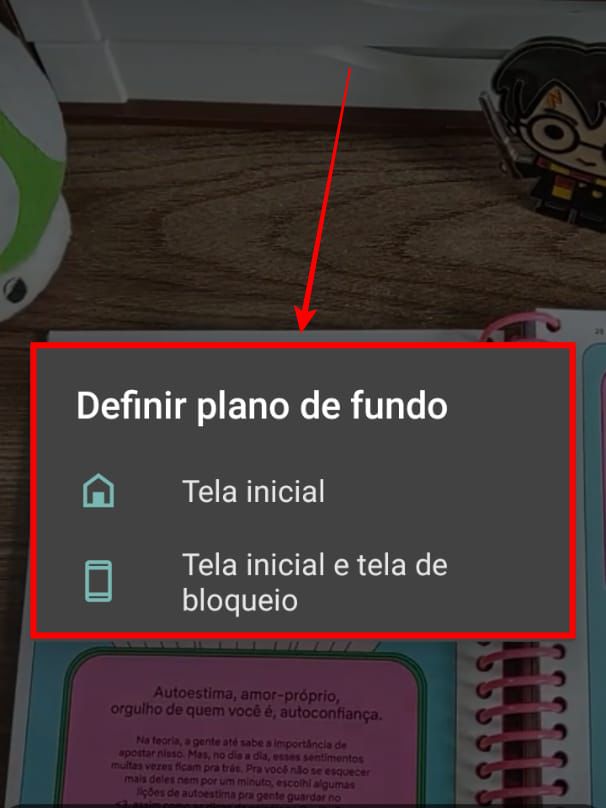 Você tem a opção de colocar o vídeo na tela inicial, na tela de bloqueio ou em ambas (Captura de tela: Caio Carvalho/Canaltech)