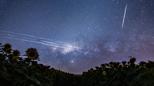 Constelações de satélites prejudicam observações astronômicas, alerta a IAU