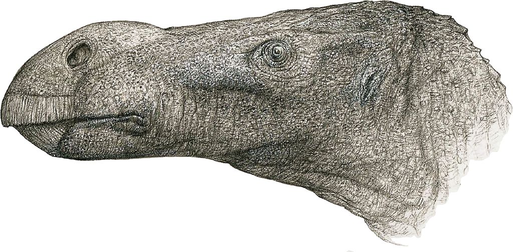 Dinossauro "narigudo" é descoberto no Reino Unido