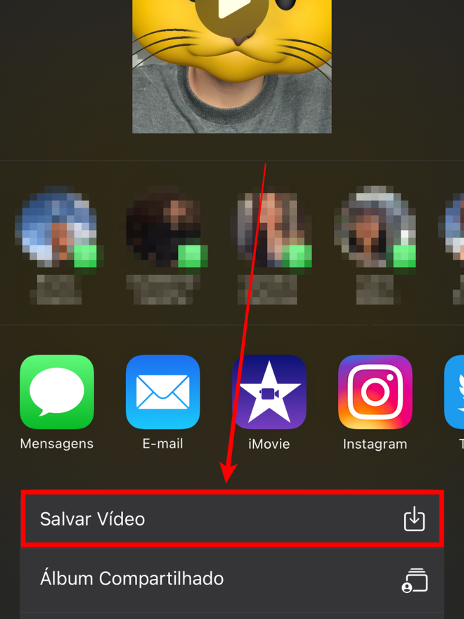 Para salvar o vídeo no rolo da câmera do iPhone ou iPad, selecione essa opção (Captura de tela: Caio Carvalho/Canaltech)