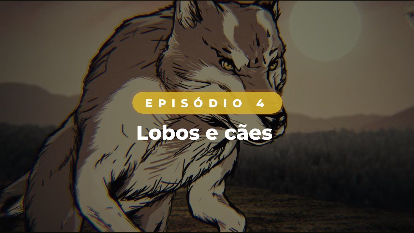 Cães e Gatos – Mistério…