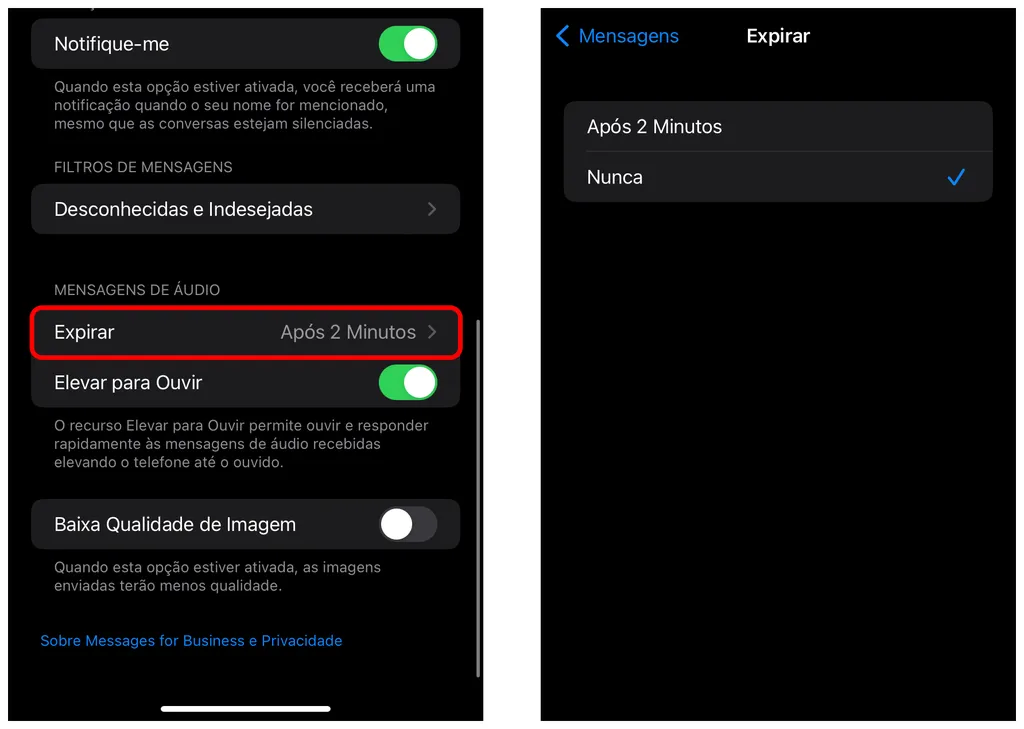Evite que áudios desapareçam em conversas do iMessage (Captura de tela: Thiago Furquim/Canaltech)