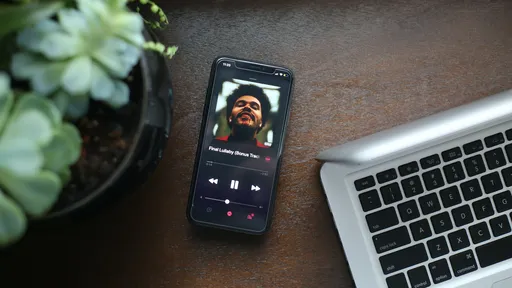 Como visualizar e remover apps com acesso ao Apple Music