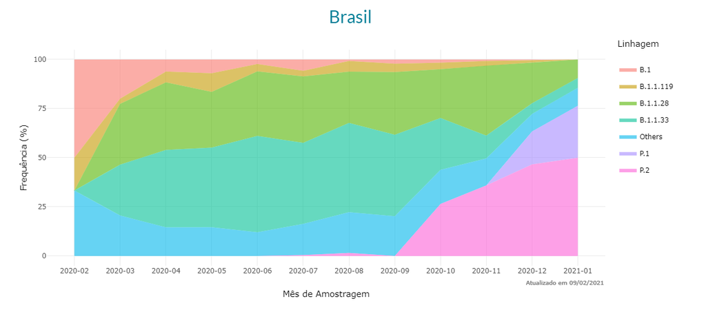 Pesquisadores brasileiros investigam a variabilidade genética do coronavírus (Imagem: Reprodução/ Rede Genômica Fiocruz)