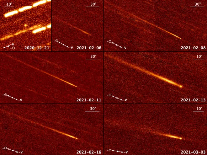 A sequência de imagens, coletadas entre 2020 e 2021, revelam a evolução do cometa à medida que ele se aproximava do Sol (Imagem: Reprodução/Man-To Hui et al.)