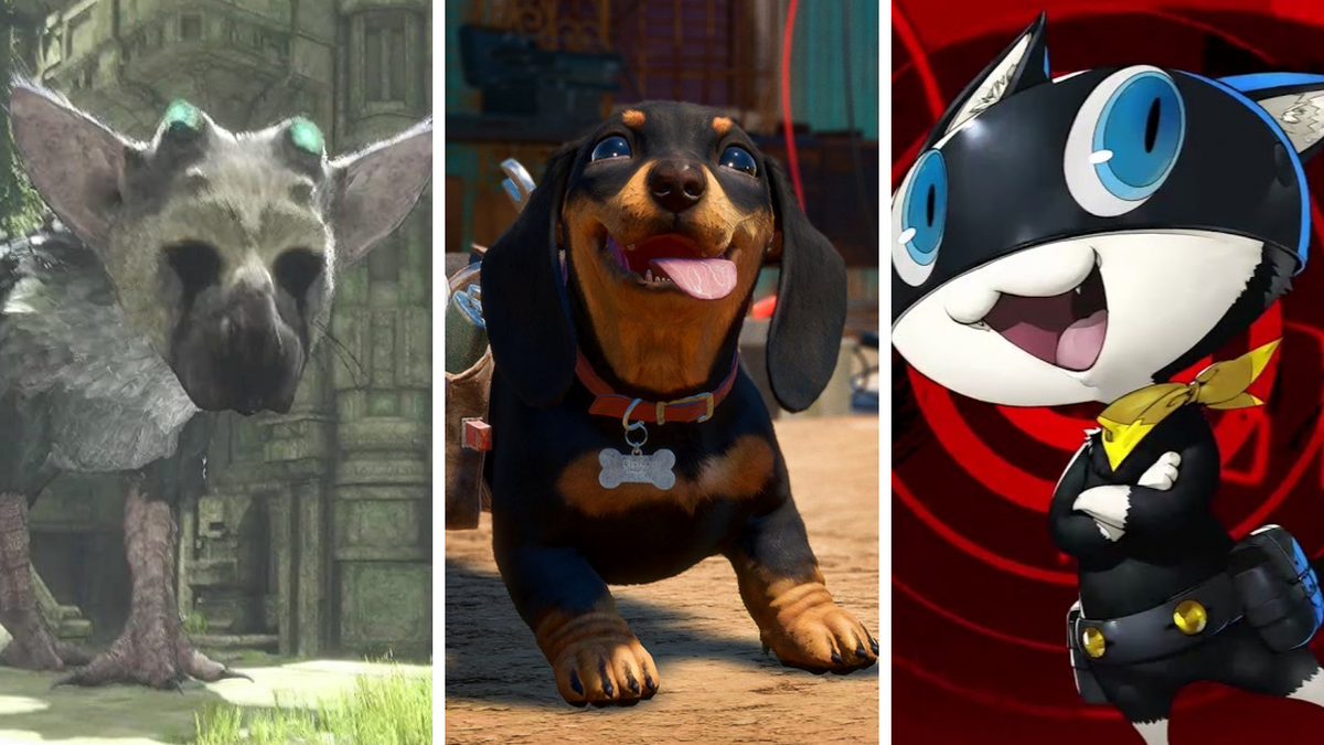 10 jogos de videogame em que cachorros e gatos são protagonistas - NSC Total