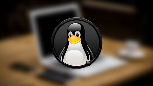 Conheça 6 distribuições Linux leves e ideais para PCs antigos