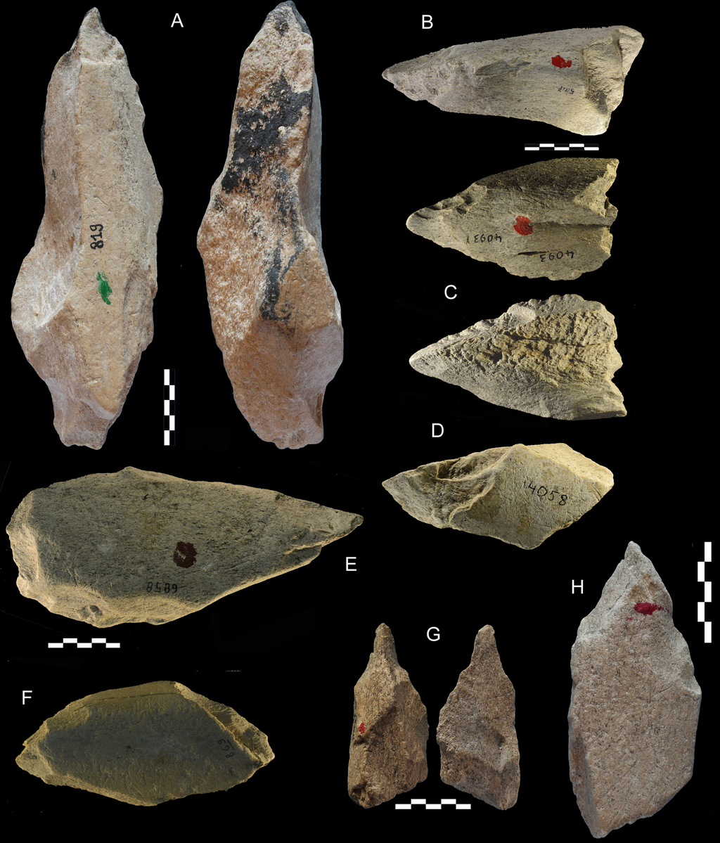 Ferramentas de ossos de elefante mostram que os Neandertais eram habilidosos