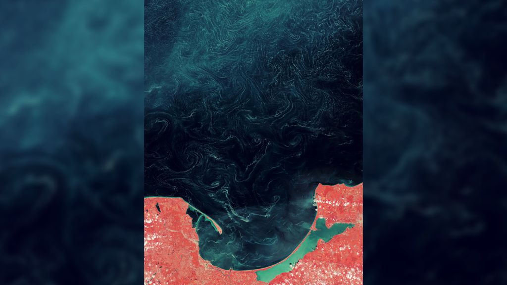O material orgânico chegou a 210 km da costa do Mar Báltico, chegando ao ápice em 2018 (Imagem: ESA/Copernicus)