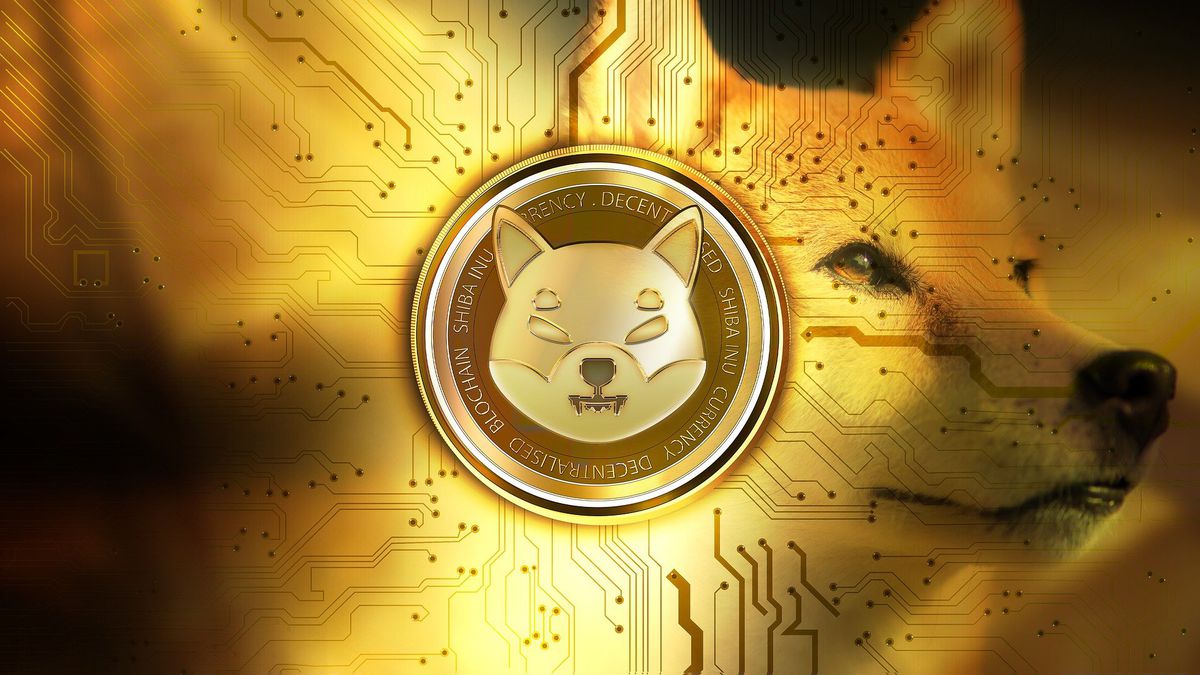 Memecoin Shiba Inu ganha impulso após aparecer em corretora dos EUA -  Canaltech