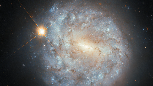 ESA/Hubble & NASA, S. J. Smartt, C. Kilpatrick