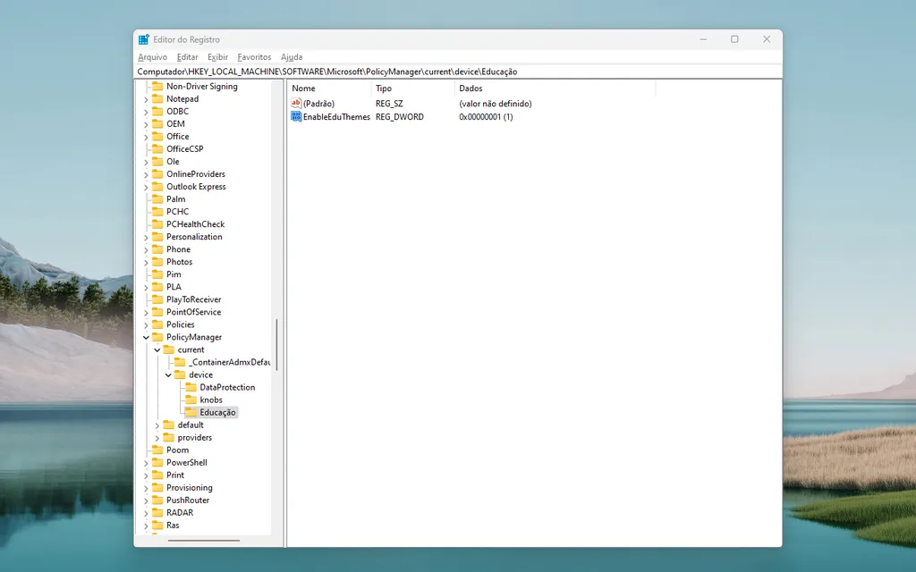 Modifique o registro do Windows para desbloquear novos temas (Captura de tela: Thiago Furquim/Canaltech)