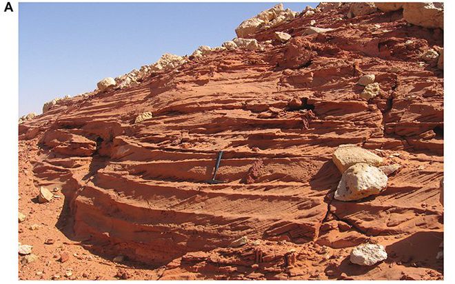 Deserto do Saara era o lugar mais perigoso da Terra há 100 milhões de anos