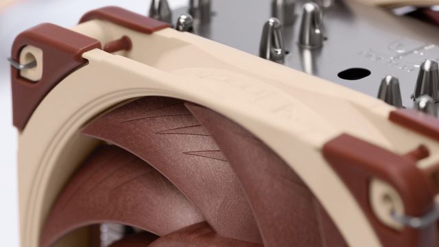 Noctua