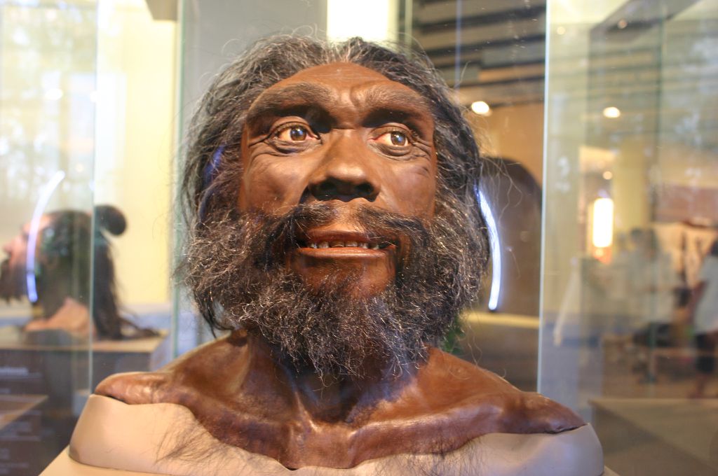 Nossos ancestrais, como este Homo heidelbergensis, tinham pele mais escura para se proteger do Sol nas escaldantes planícies africanas — a pele clara só surgiu com migrações para o norte (Imagem: Ryan Somma/Flickr/CC-BY-2.0)