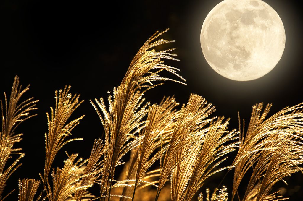A Lua também influencia no clima mais ameno e distribuído por todo o planeta (Foto? Mokokomo/Shutterstock)