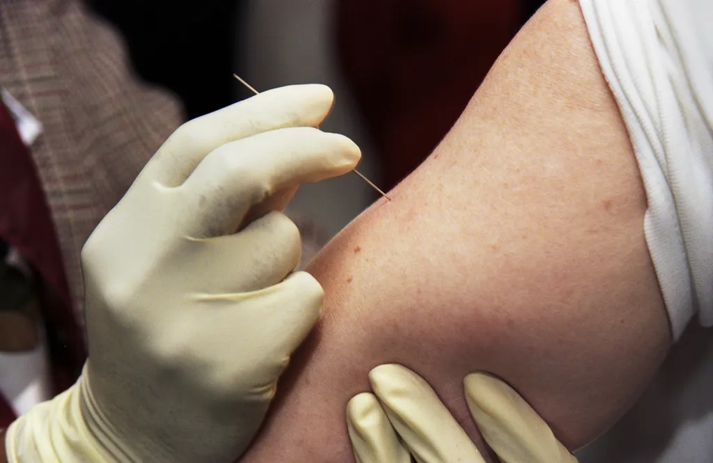 Vacinação contra a varíola dos macacos pode usar um vírus vivo e agulha bifurcada (Imagem: James Gathany/CDC)