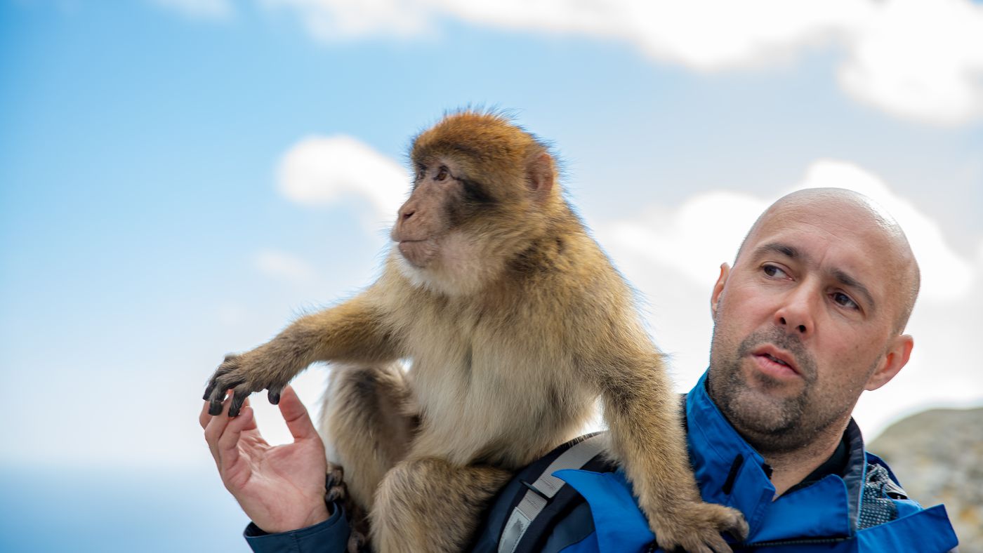 ¿Por qué los humanos tienen menos pelo que los monos?