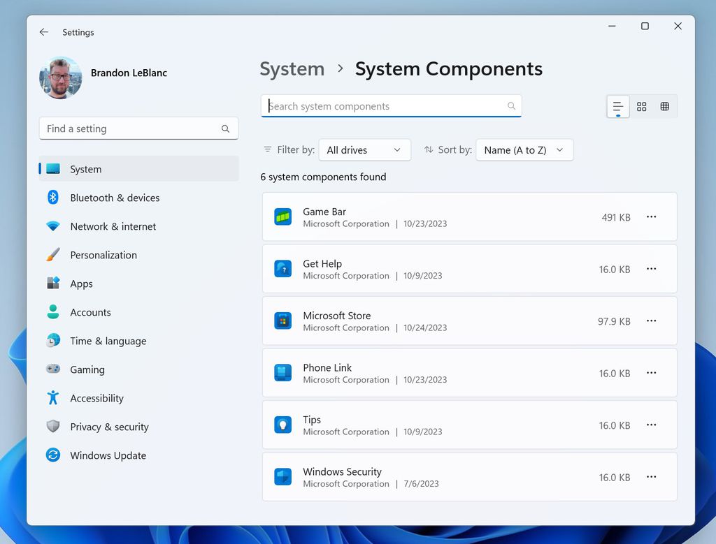 Tela de componentes do sistema estará presente na atualização 23H2 (Imagem: Reprodução/Microsoft)