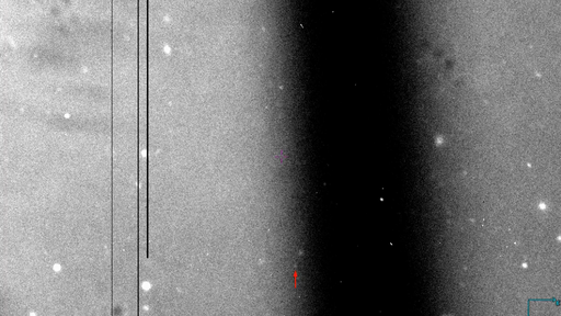 Astrônoma amadora descobre uma nova lua em Júpiter; número sobe para 80
