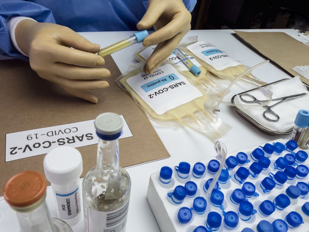 Butantan possuí 3 mil frascos de soro anti-COVID para testes em humanos da terapia (Imagem: Reprodução/Felipecaparros/Envato Elements)
