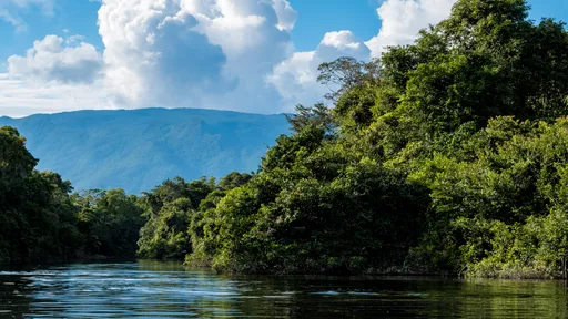 Floresta Amazônica pode se tornar uma savana em apenas 5 anos, dizem cientistas