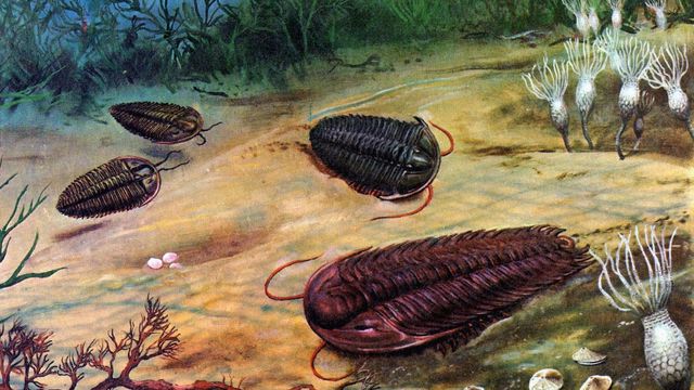 Vida pode ter origem em fontes hidrotermais no fundo do mar, conclui estudo