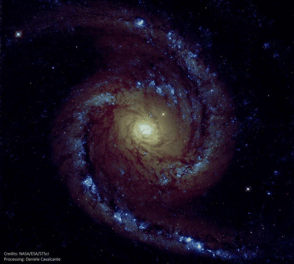 A galáxia NGC 1566, em três comprimentos de onda diferentes, capturados pelo Hubble em 2013 (Imagem: Hubble Space Telescope/STScI/Daniele Cavalcante)
