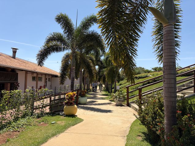 iPhone Air - Câmera traseira