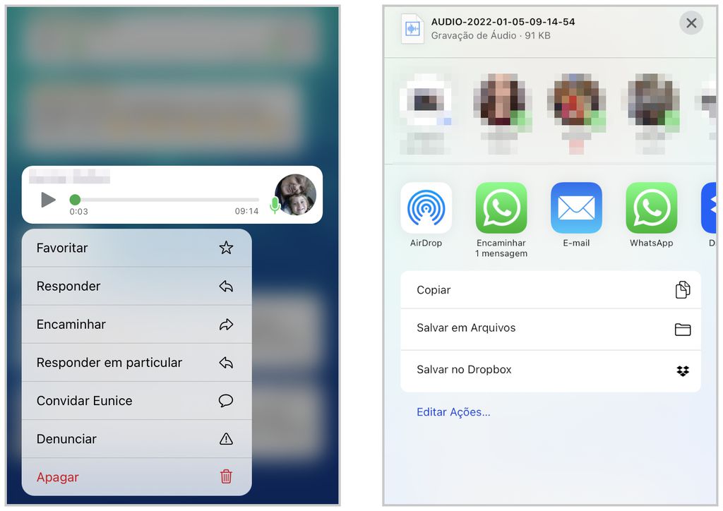 Agora você pode fazer backup de áudio do WhatsApp no iPhone (Captura de tela: Lucas Wetten)