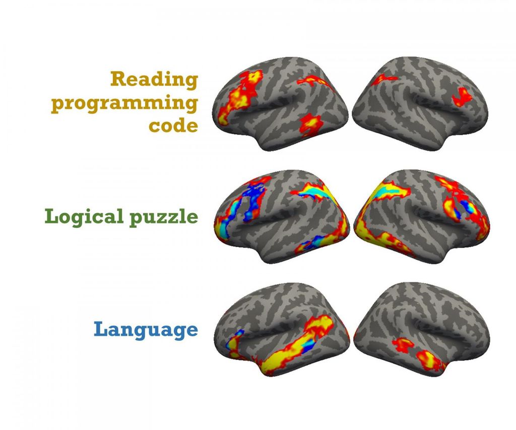 O gráfico mostra como o cérebro é ativado durante a programação do computador, em comparação com raciocínio lógico e linguagem (Imagem: Universidade Johns Hopkins