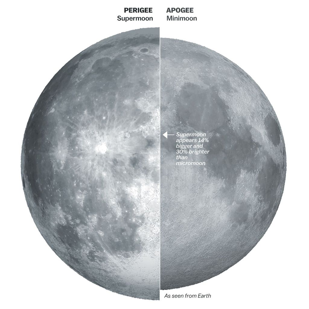 Comparação de uma superlua, que é quando ela está em seu ponto mais próximo da Terra, com uma microlua (Imagem: Reprodução/Vox)