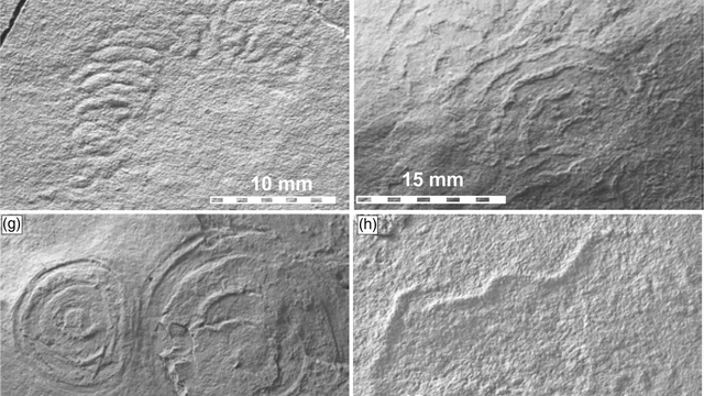 Clarke et al./Journal of the Geological Society