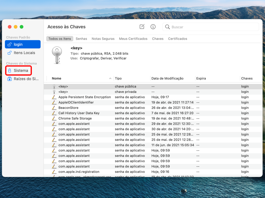 O menu "Sistema" armazena as chaves registradas nos recursos nativos do macOS - Captura de tela: Thiago Furquim (Canaltech)