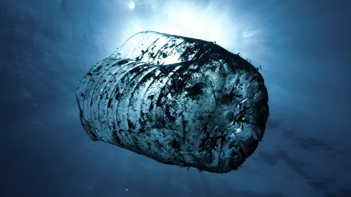 Lixo no mar | Como se formam as ilhas de plástico no oceano?
