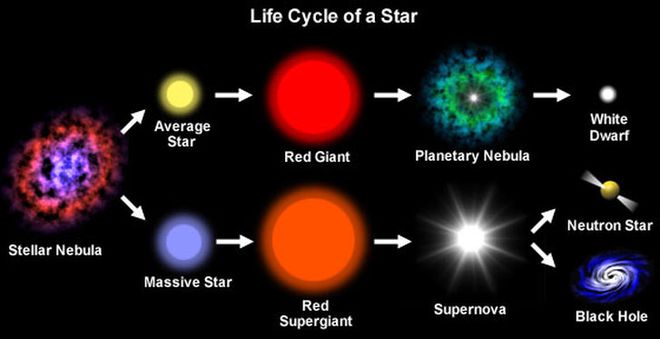 Estrelas medianas (como o Sol), se tornam gigantes vermelhas, são envoltas por uma nebulosa, até viraram anãs brancas. Já estrelas mais massivas se transformam em supergigantes vermelhas, explodem em uma supernova e podem gerar uma estrela de nêutrons, ou um buraco negro (Imagem: starlifecycle205.weebly.com)