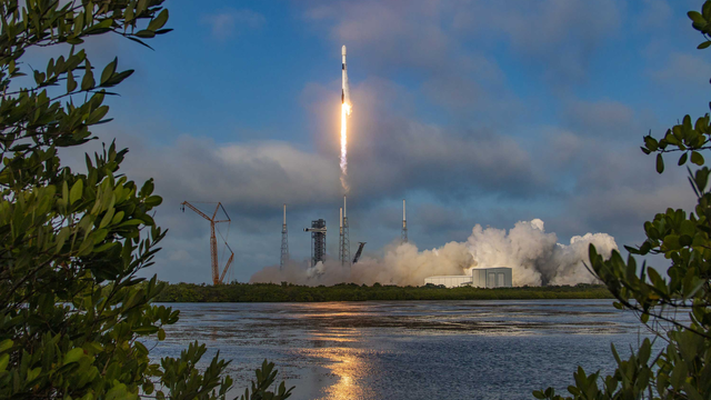 SpaceX