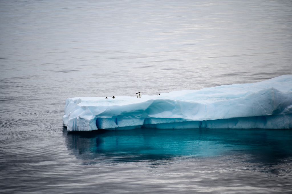 Estudos climáticos indicam que o Ártico pode ficar sem gelo até 2035