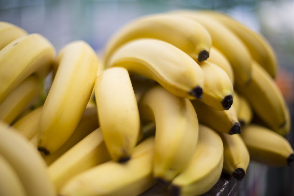 As bananas trazem um pouco de potássio-40, que contém radiação, sendo uma das principais fontes alimentícias caseiras — mas em doses bem pequenas (Imagem: BGStock72/Envato)