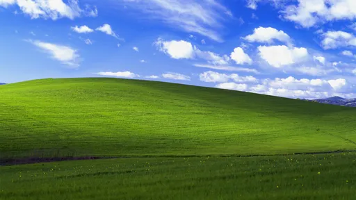 Windows XP volta a ganhar market share em junho