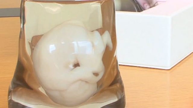 Ultrassom é passado: empresa cria modelo em 3D do feto na barriga da mãe