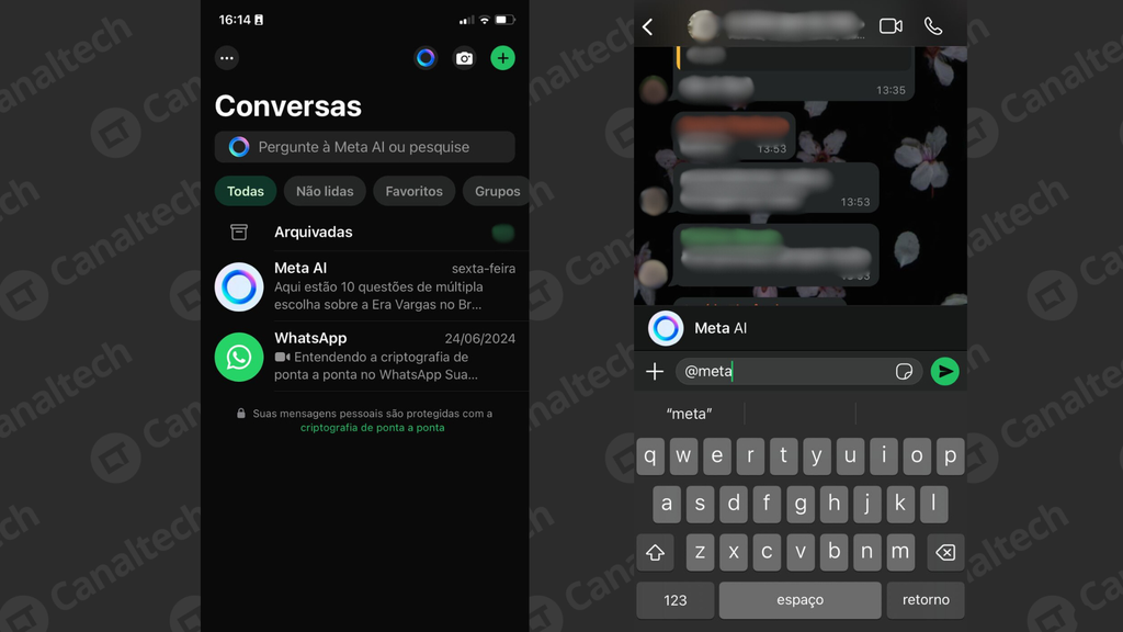 Meta Ai captura de tela no WhatsApp(Imagem: Captura de tela/Emanuele Almeida/Canaltech)