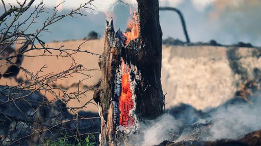 Incêndios na Amazônia provocam aumento na emissão de CO2 no Brasil, diz estudo