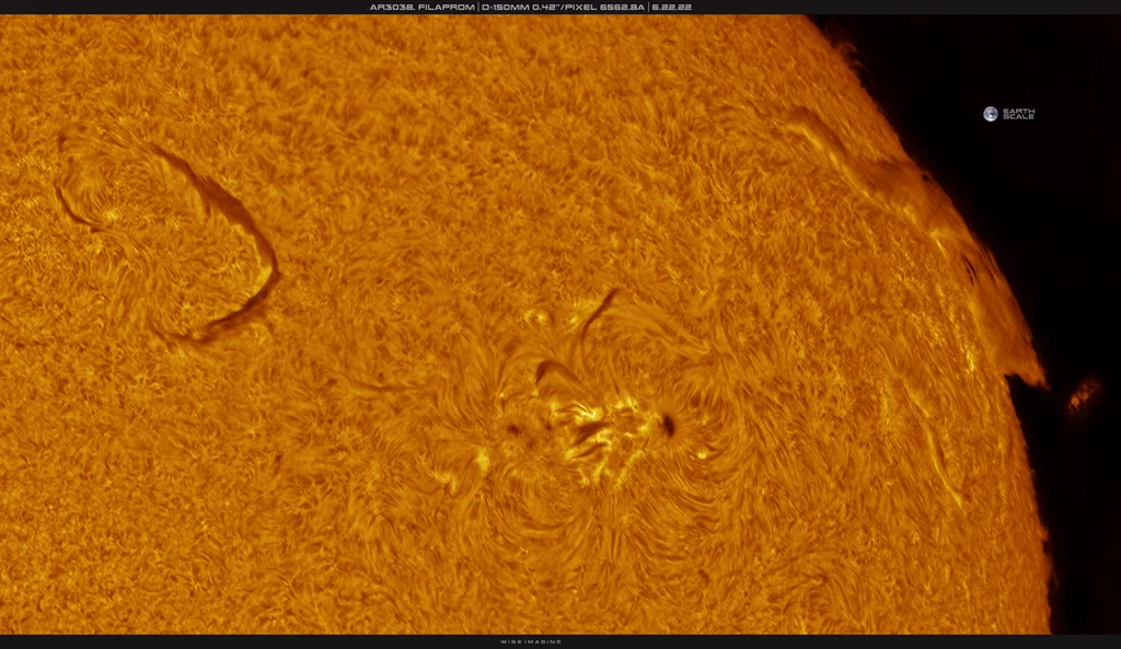 "Filaproms" são "filamentos proeminentes" na superfície do Sol. (Imagem: Reprodução/Martin Wise)