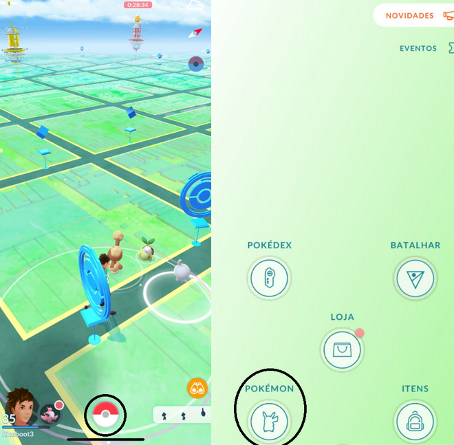 Pokémon GO: como saber se um Pokémon é realmente forte - Canaltech